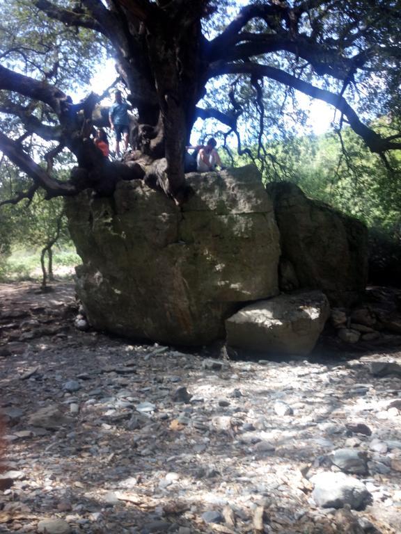 Vila Naramanue Dorgali Exteriér fotografie